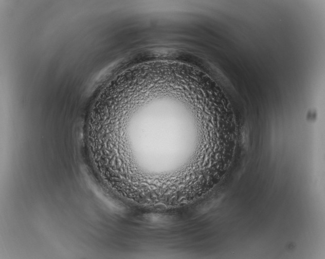 X0000112880733200908211450