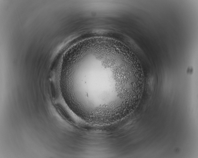 X0000112880734200908211450