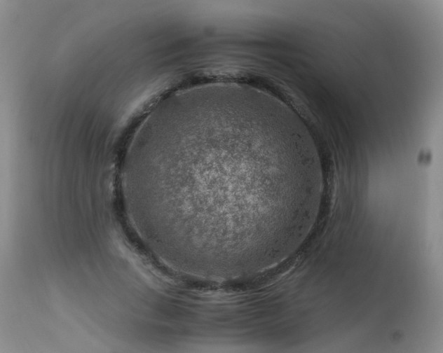 X0000112880735200908211450