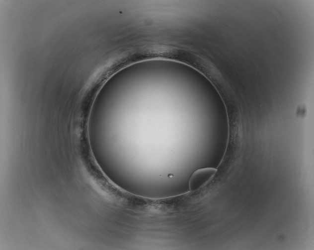 X0000112880736200908211450