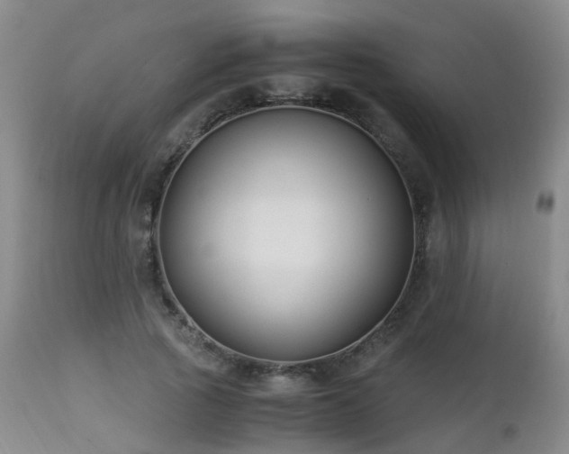 X0000112880737200908211450