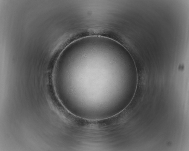 X0000112880738200908211450