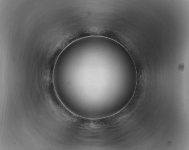 X0000112880739200908211450