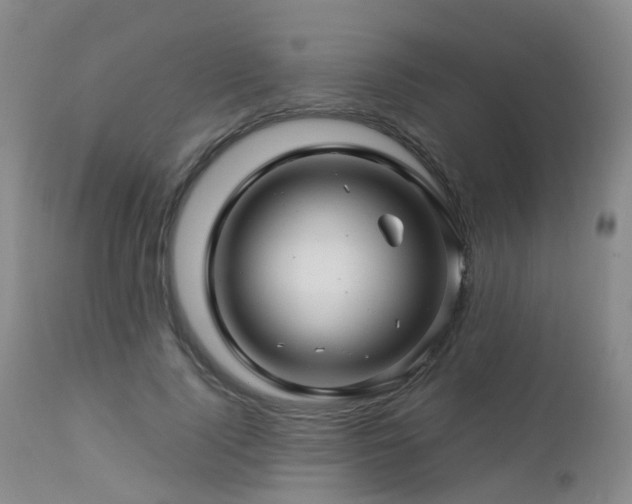 X0000112880740200908211451