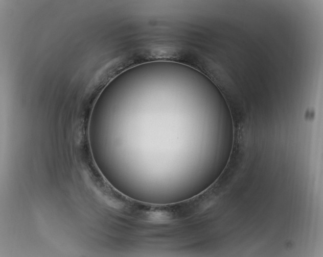 X0000112880741200908211451