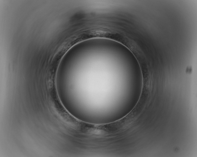 X0000112880743200908211451