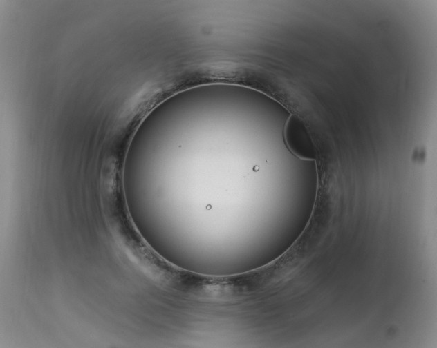 X0000112880744200908211451