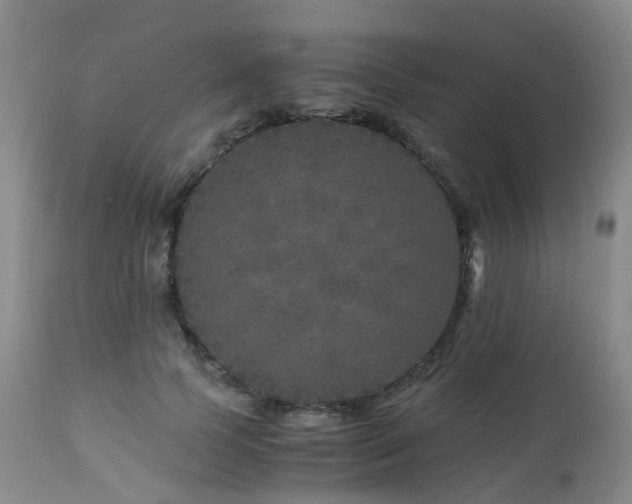 X0000112880745200908211451