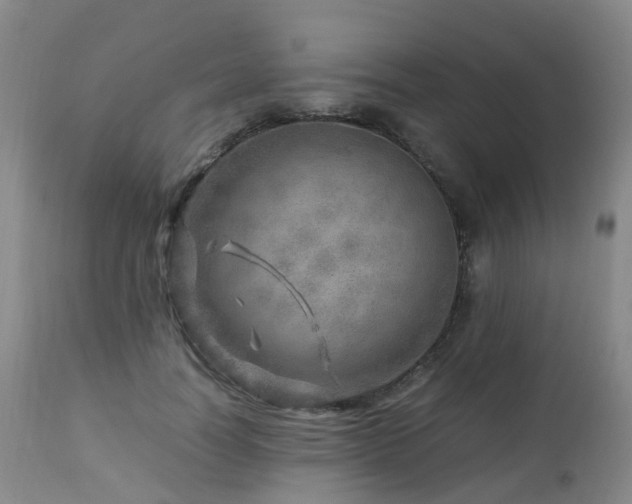 X0000112880746200908211451