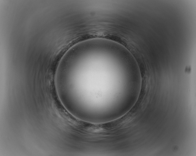 X0000112880747200908211451