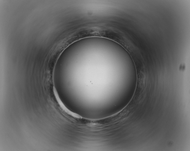 X0000112880748200908211451