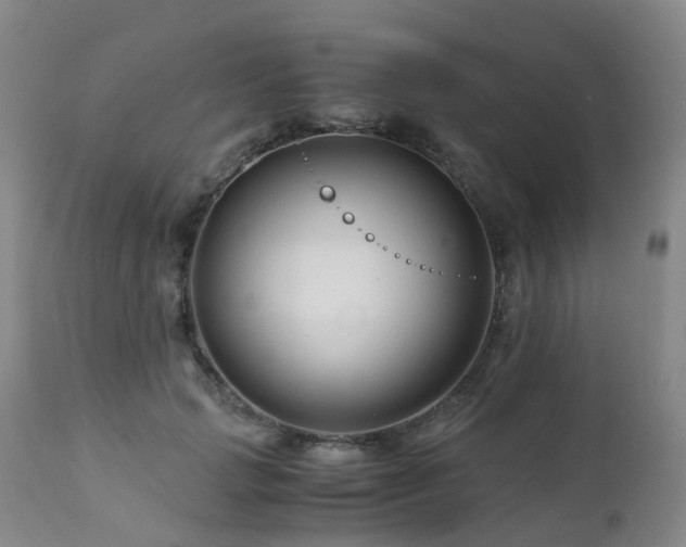 X0000112880749200908211451