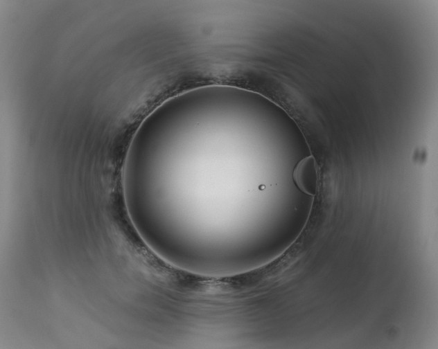 X0000112880750200908211451