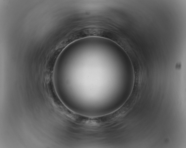 X0000112880751200908211451