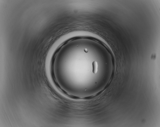 X0000112880752200908211451