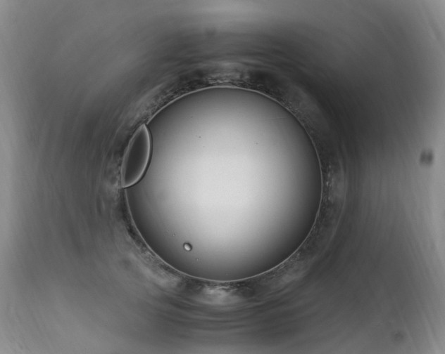 X0000112880753200908211451