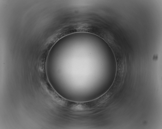 X0000112880755200908211451