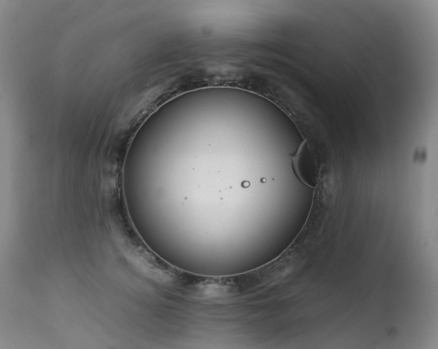 X0000112880756200908211451