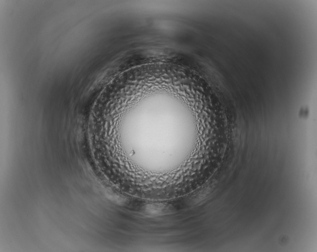 X0000112880757200908211451