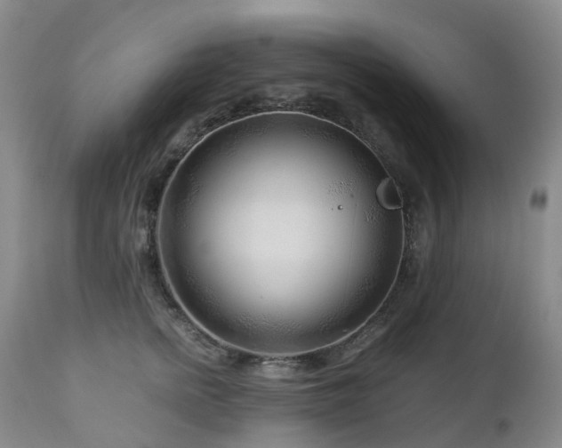 X0000112880758200908211451