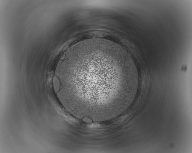 X0000112880759200908211451