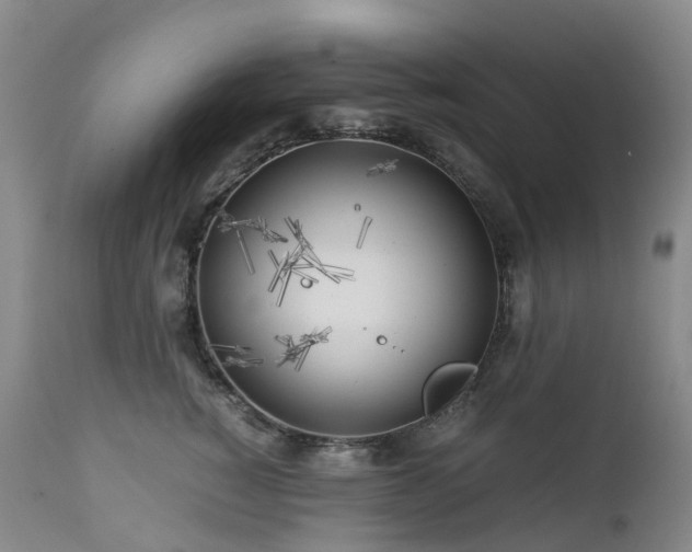 X0000112880760200908211451