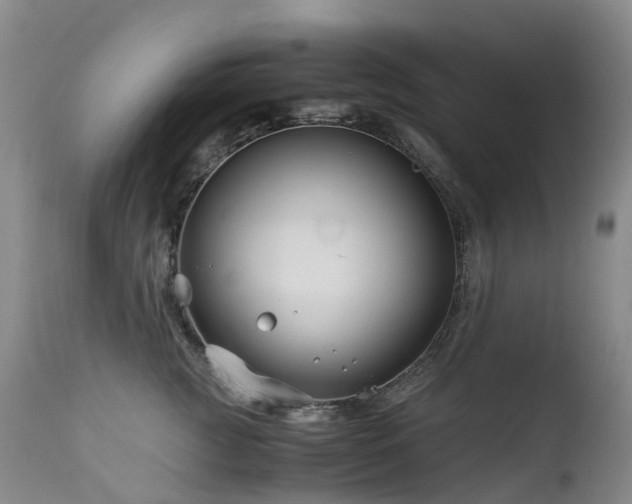 X0000112880761200908211451