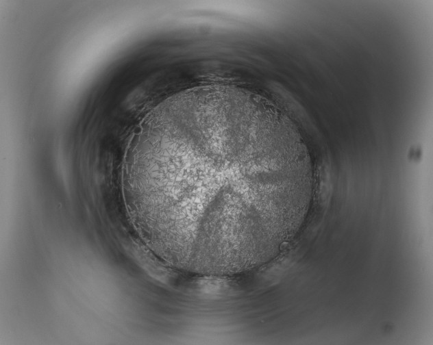 X0000112880762200908211451