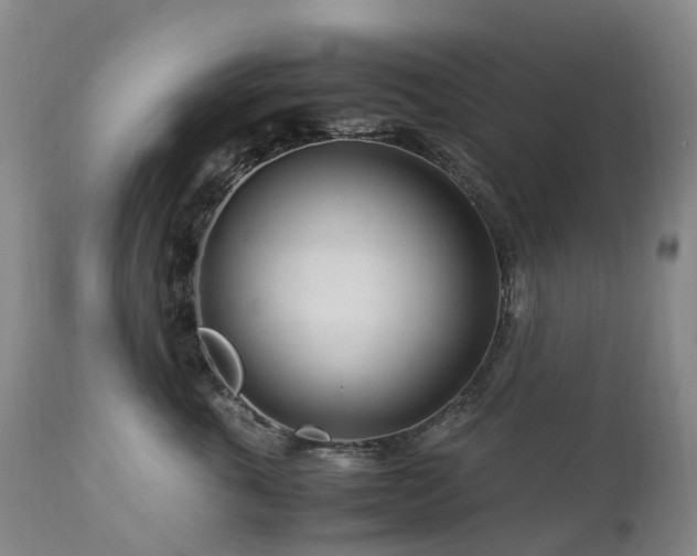 X0000112880763200908211451