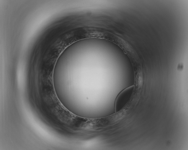 X0000112880764200908211451