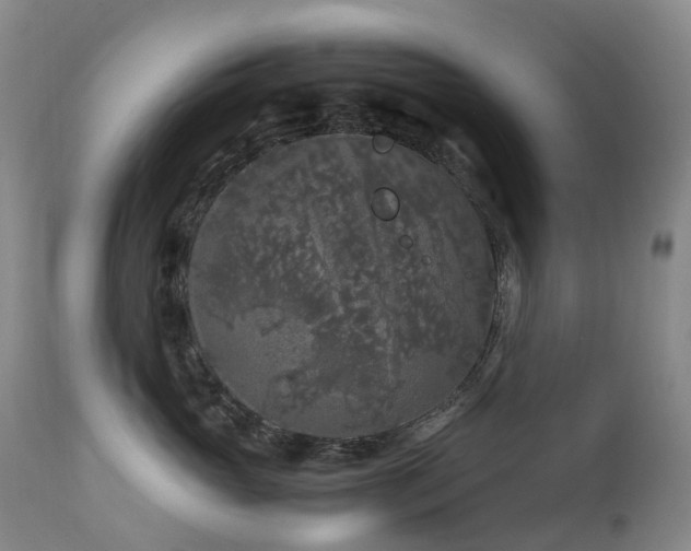 X0000112880765200908211451