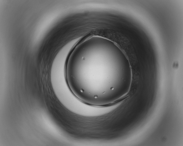 X0000112880766200908211451