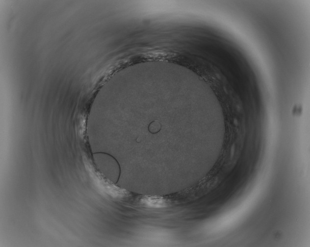 X0000112880767200908211451