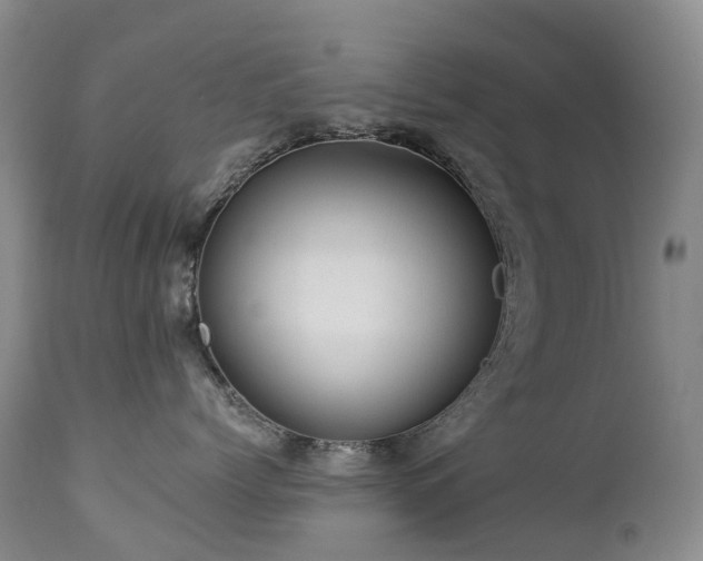 X0000112880768200908211451