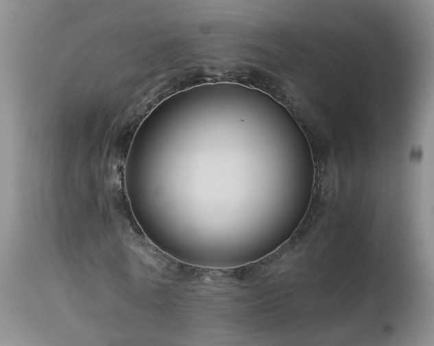 X0000112880770200908211450