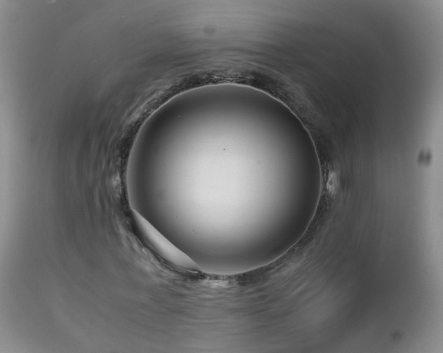 X0000112880771200908211450