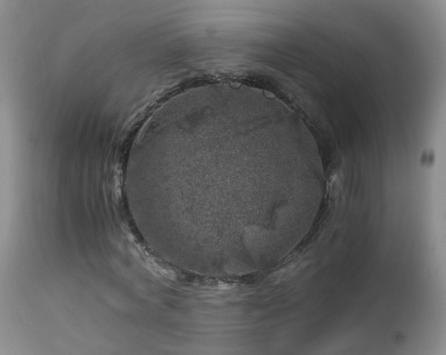 X0000112880772200908211450