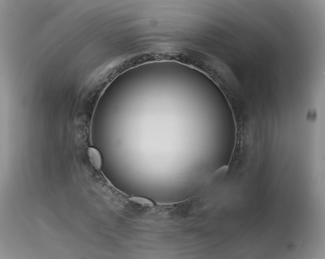 X0000112880773200908211450