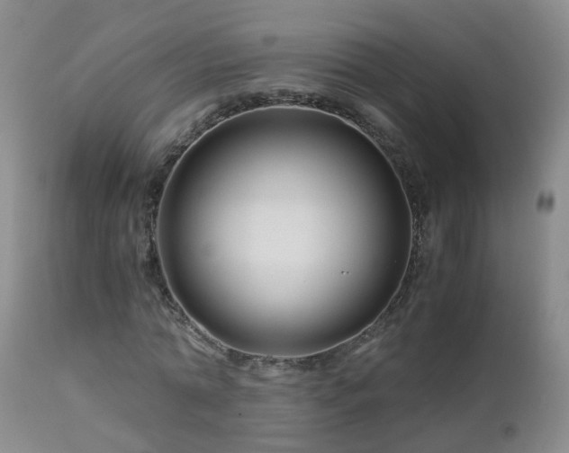 X0000112880774200908211450