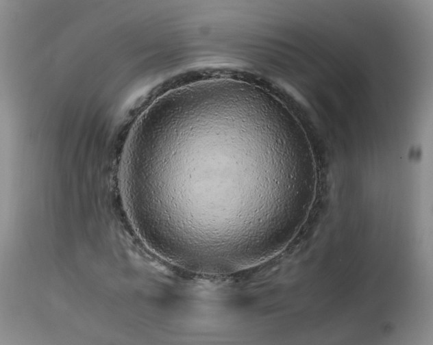 X0000112880775200908211450