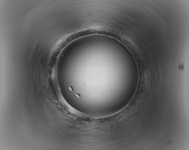 X0000112880776200908211450