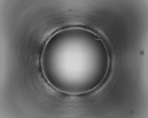 X0000112880777200908211450