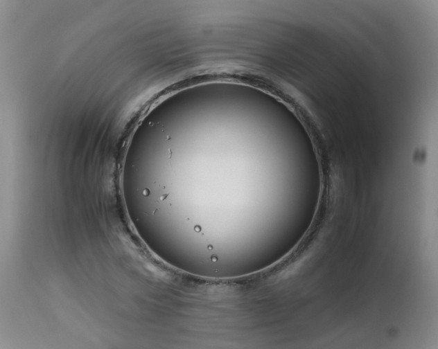 X0000112880778200908211450