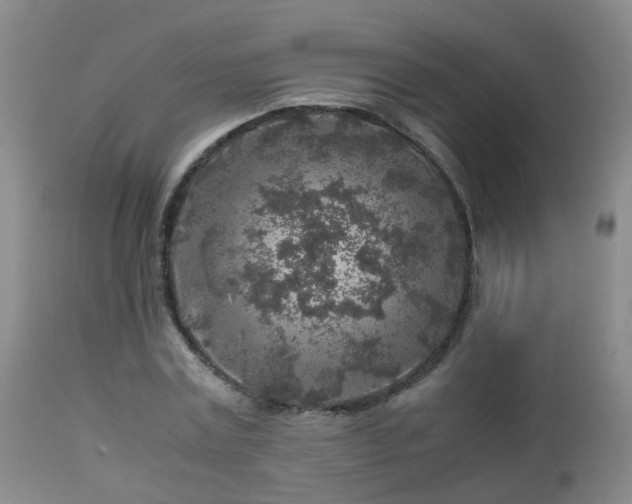 X0000112880779200908211450