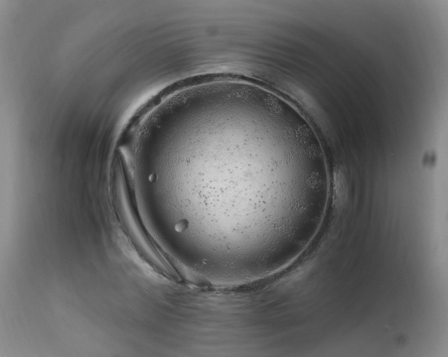 X0000112880780200908211450