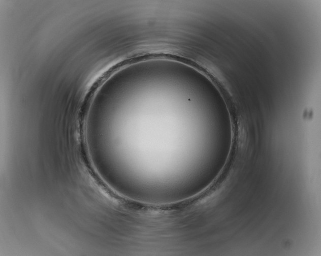 X0000112880782200908211450