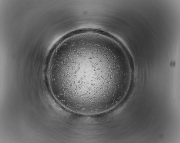 X0000112880783200908211450