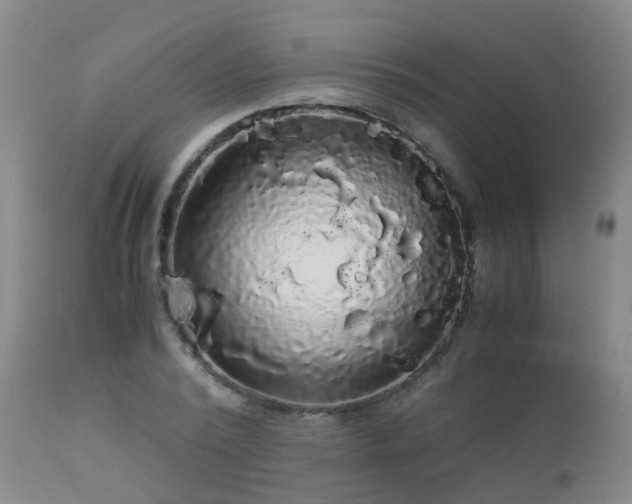 X0000112880784200908211450