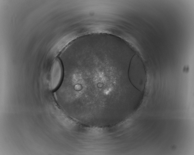 X0000112880785200908211450