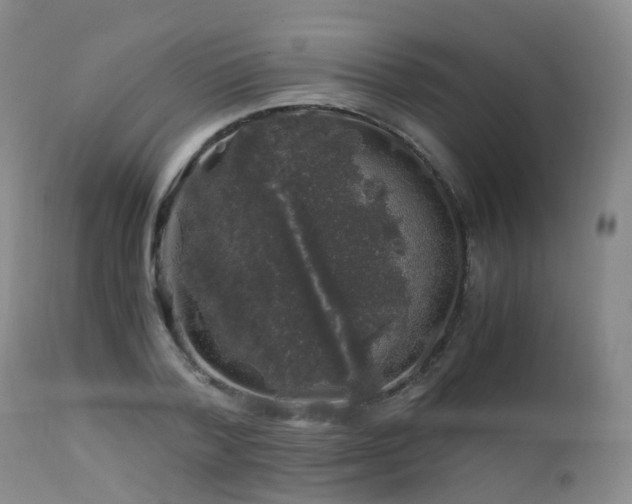 X0000112880788200908211450